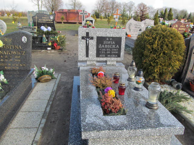 Grób Zofia Żabicka