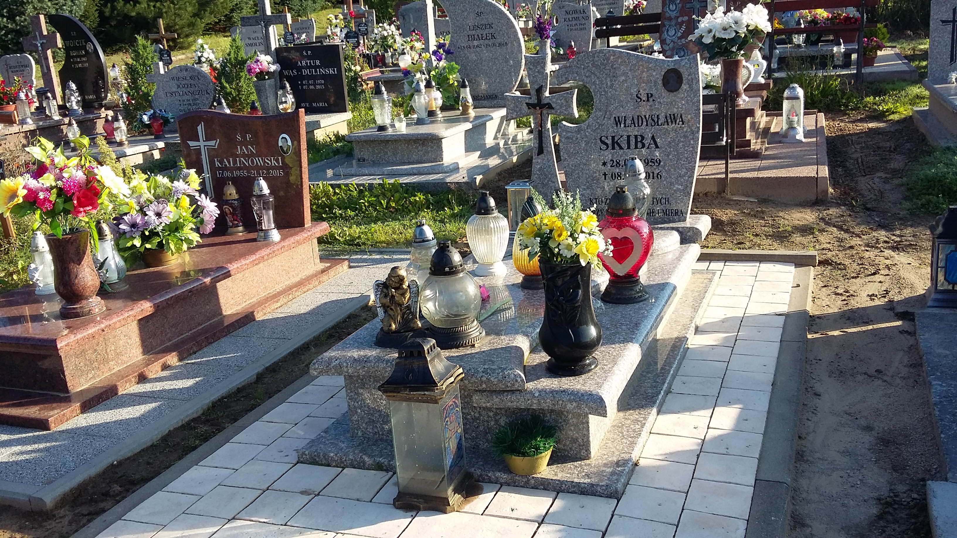 Grób Władysława Skiba
