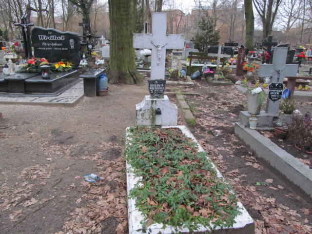 Grób Aksenia Kurmiel