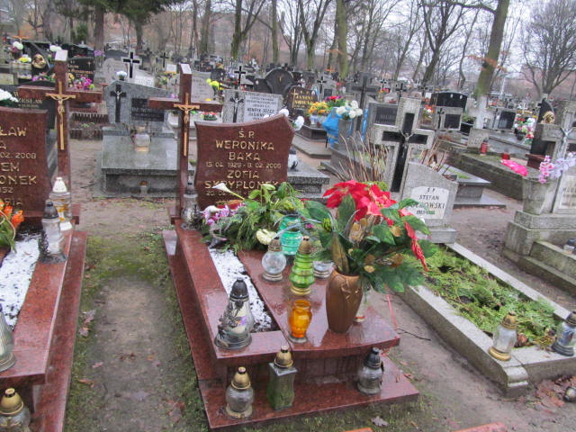 Grób Zofia Skryplonek